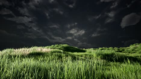 Storm-clouds-above-meadow-with-green-grass
